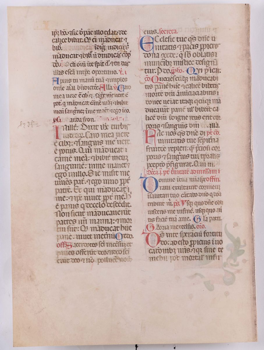 Anonimo del XV Secolofoglio Miniato
