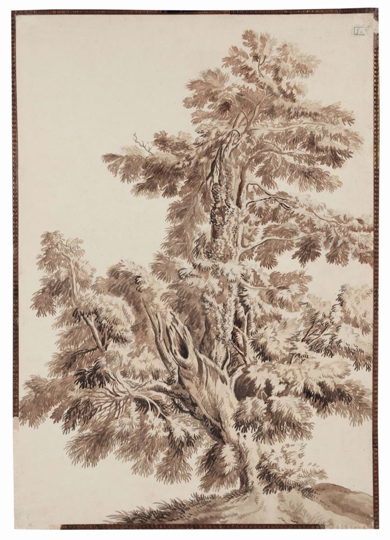 John Constable (East Bergholt 1776 - London 1837), attribuito a Albero  - Auction Old Masters Paintings - Cambi Casa d'Aste