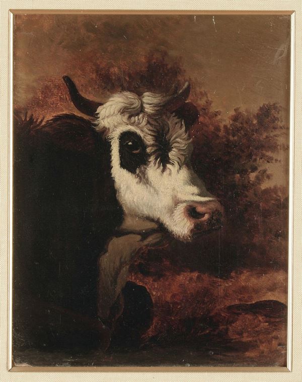 Giuseppe Palizzi (1812-1888) Muso di torello