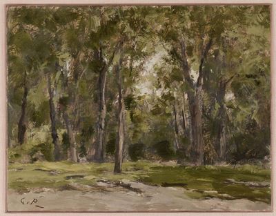 Guglielmo Pizzirani (1886-1971)paesaggio con Alberi