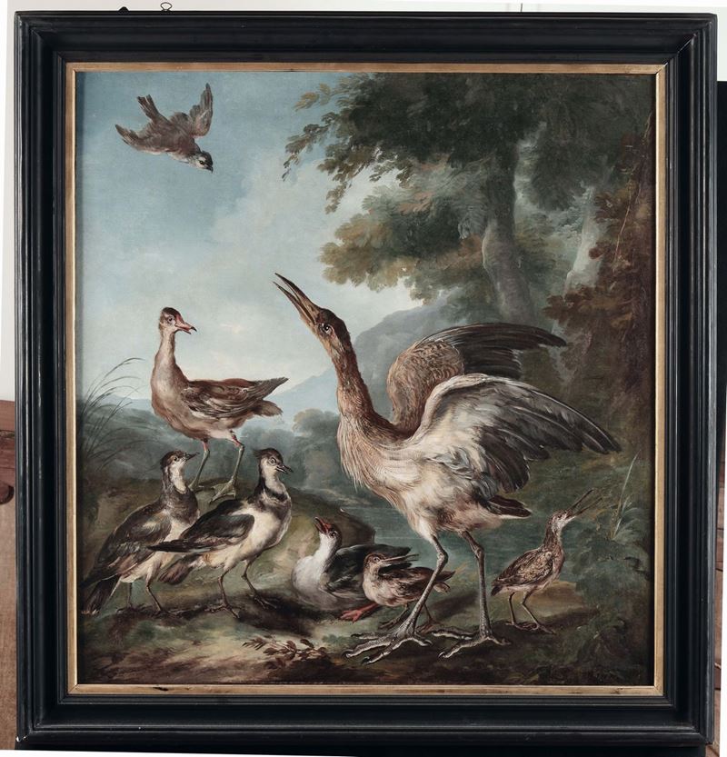 Giovanni Crivelli detto il Crivellino (attivo 1730-1760) Volatili  - Auction Fine Art Selection - II - Cambi Casa d'Aste