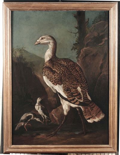 Giovanni Crivelli Detto il Crivellino (attivo 1730-1760)volatili Volatili