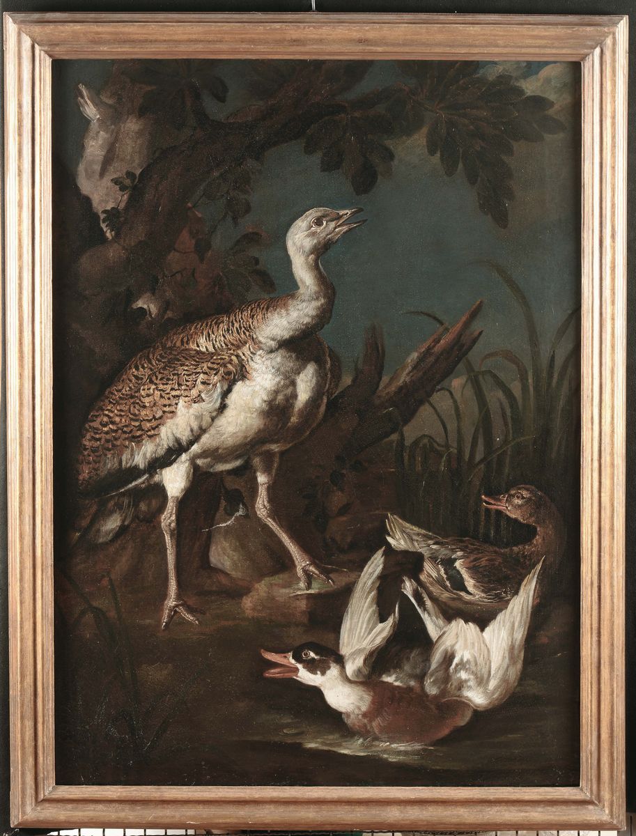 Giovanni Crivelli Detto il Crivellino (attivo 1730-1760)volatili Volatili