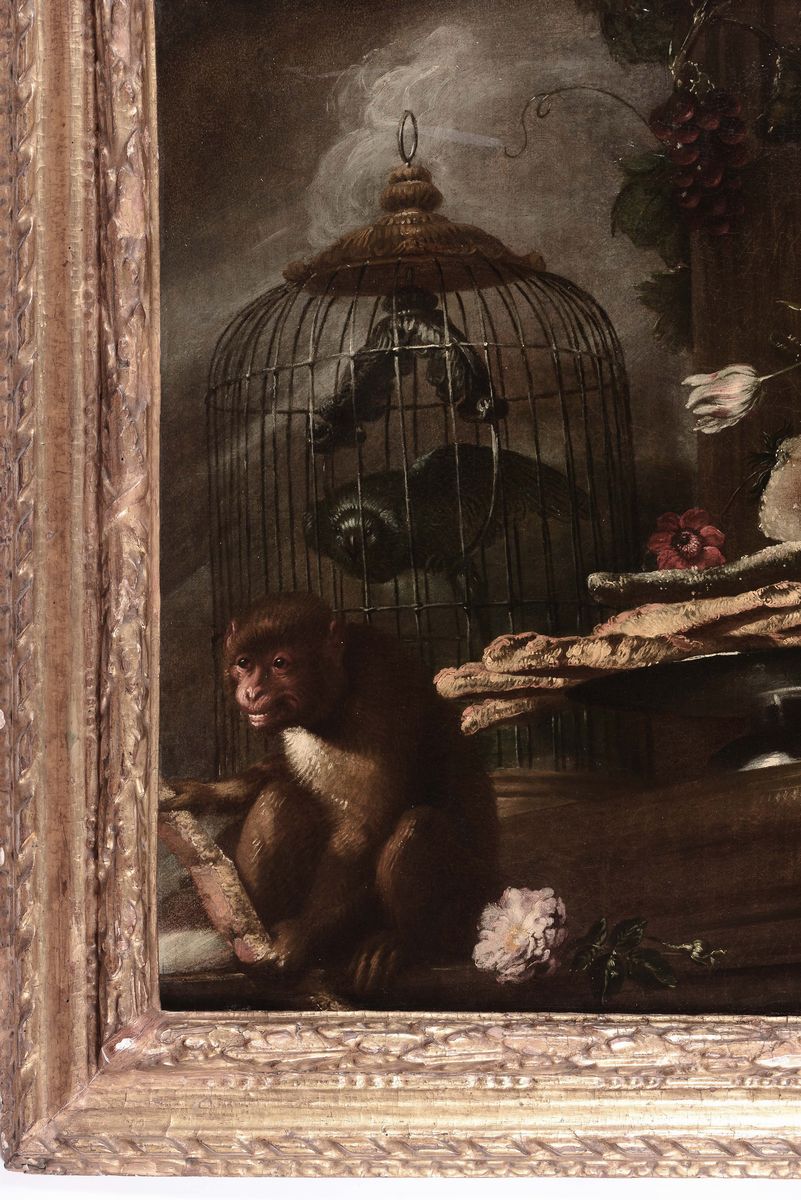 Antonio Maria Vassallo (genova 1620 - 1674 Ca)natura Morta con Scimmia