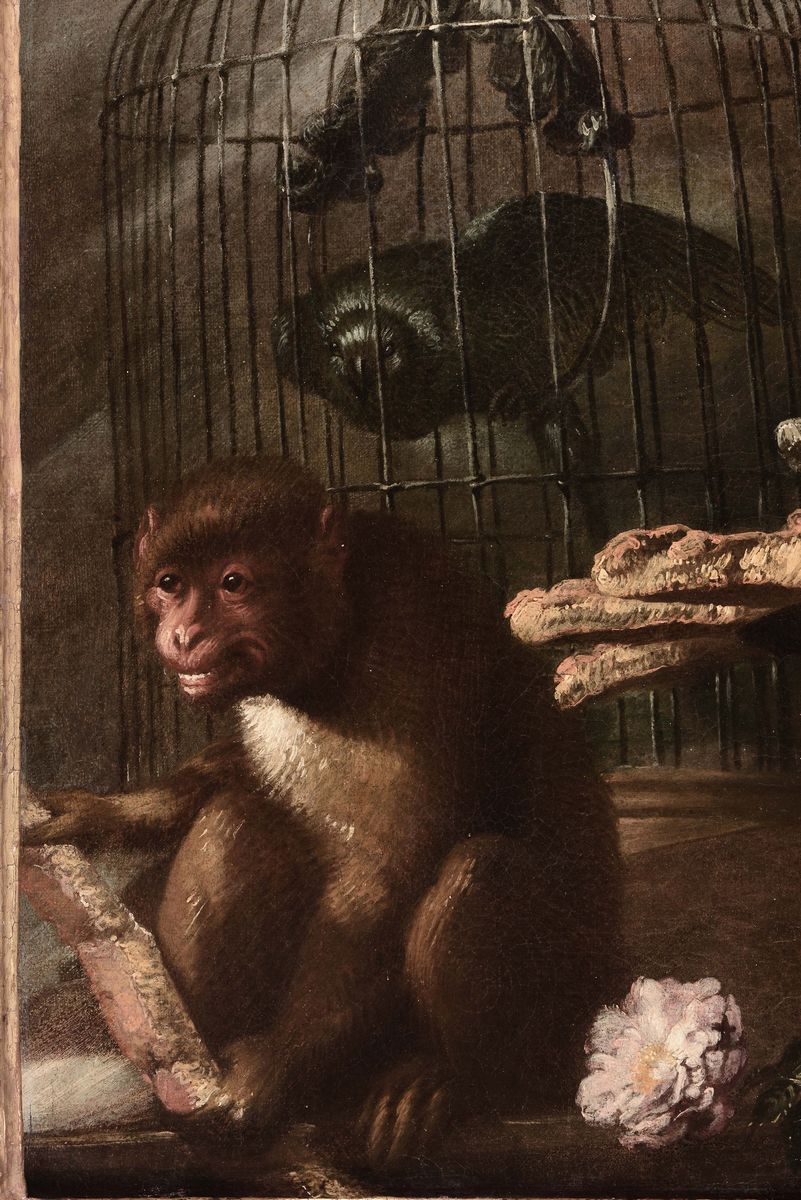 Antonio Maria Vassallo (genova 1620 - 1674 Ca)natura Morta con Scimmia