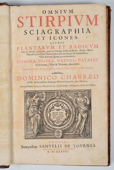 Dominicus Chabraeusomnium Stirpium Sciagraphia Et Icones,quibus Plantarum Et Radicum,nomina,figur...