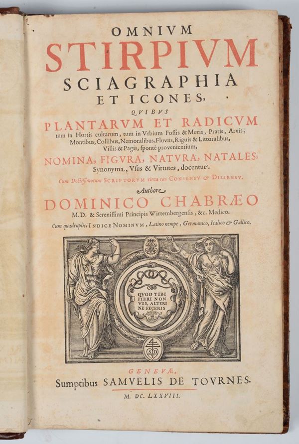 Dominicus Chabraeus Omnium stirpium sciagraphia et icones,quibus plantarum et radicum,nomina,figura..