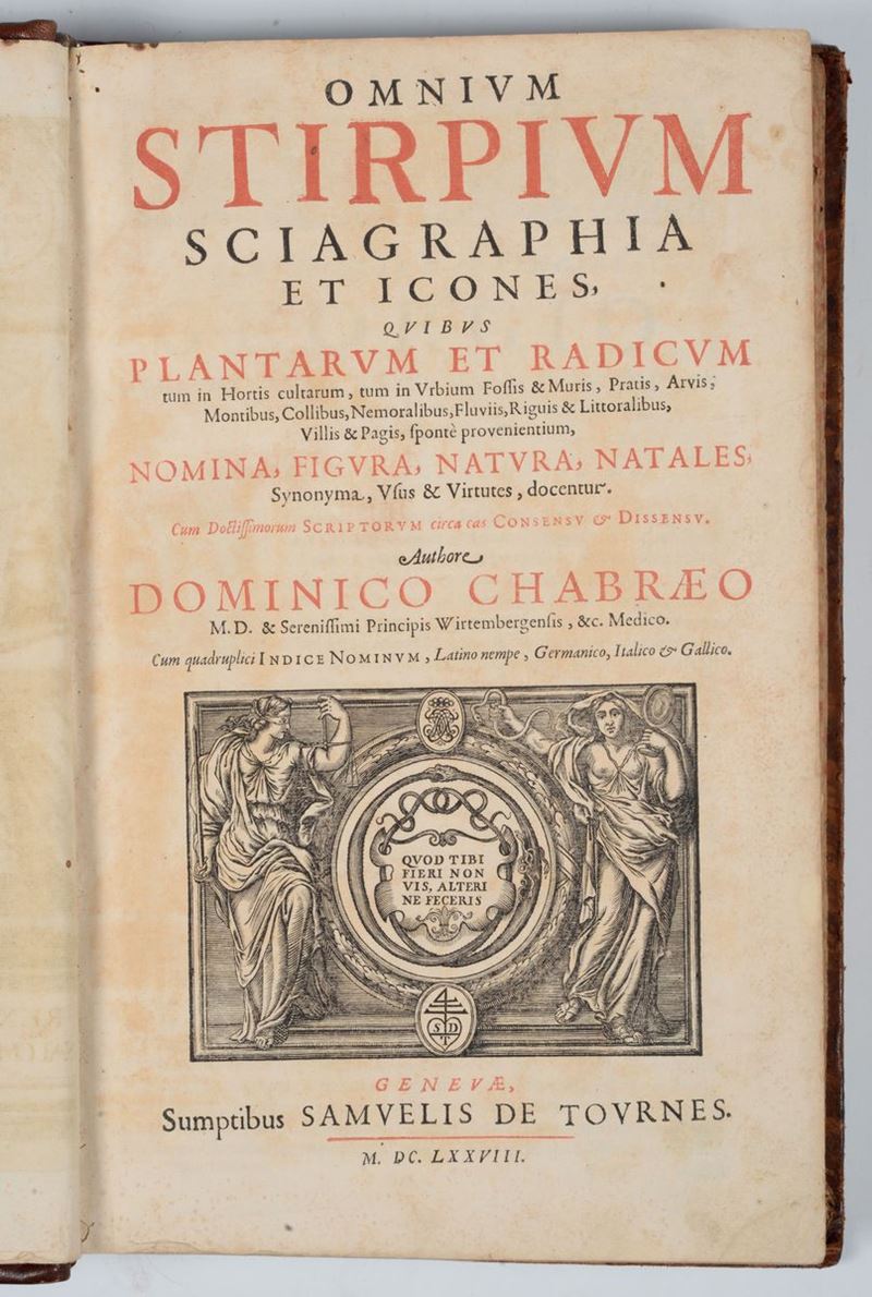 Dominicus Chabraeus Omnium stirpium sciagraphia et icones,quibus plantarum et radicum,nomina,figura..  - Auction Old and Rare Manuscripts and Books - Cambi Casa d'Aste