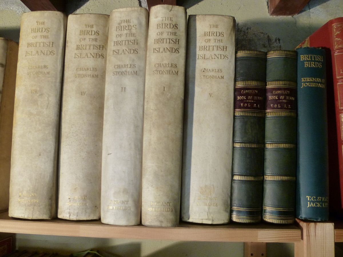 Charles Stonhamthe Birds Of The British Island