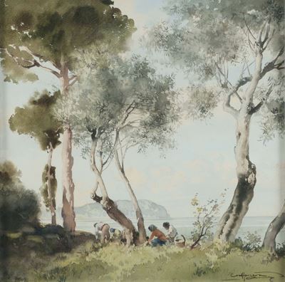 Aurelio Craffonara (1875-1945)la Raccolta degli Ulivi
