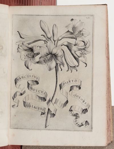Jo.bapt. Ferraride Florum Cultura Libri Vi..