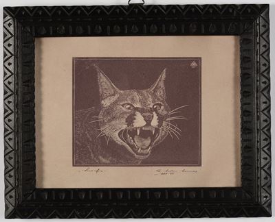 Litografia Raffigurante Smorfia di Felino