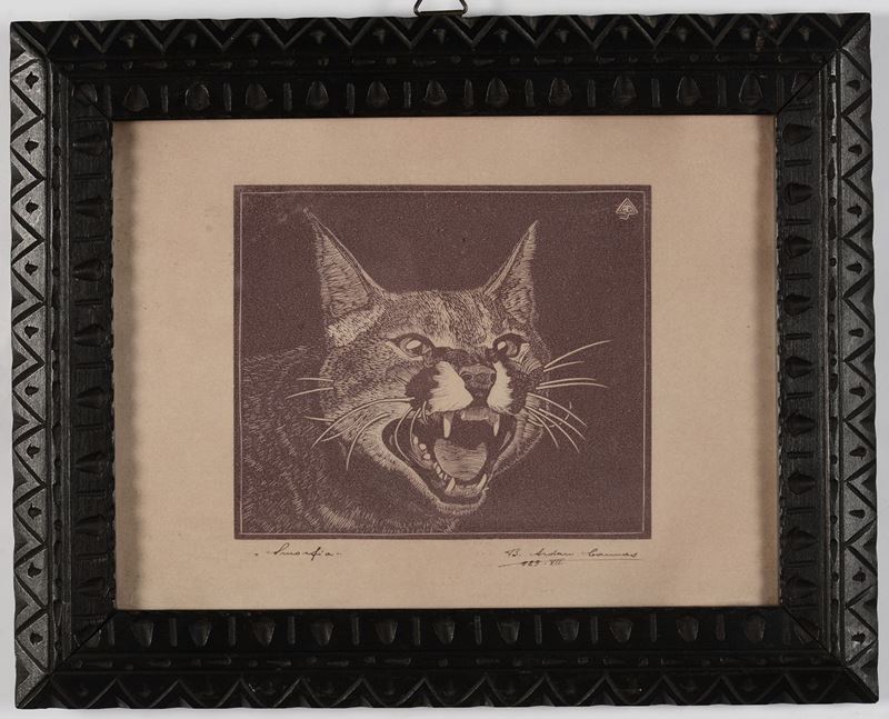 Litografia raffigurante smorfia di felino  - Asta Antiquariato e Dipinti Antichi - I - Cambi Casa d'Aste