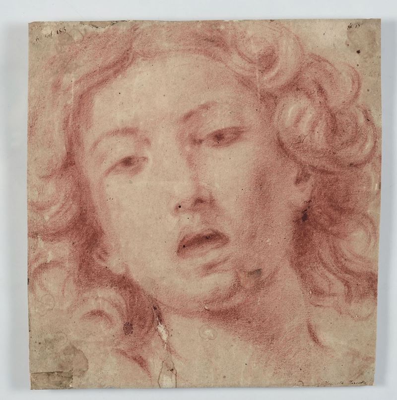 Scuola del XVIII secolo Volto maschile  - Asta Antiquariato e Dipinti Antichi - I - Cambi Casa d'Aste