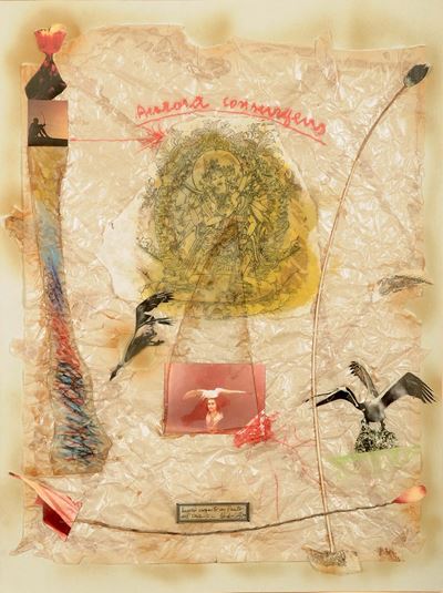 Claudio Costa (1942-1995)aurora Consurgeus