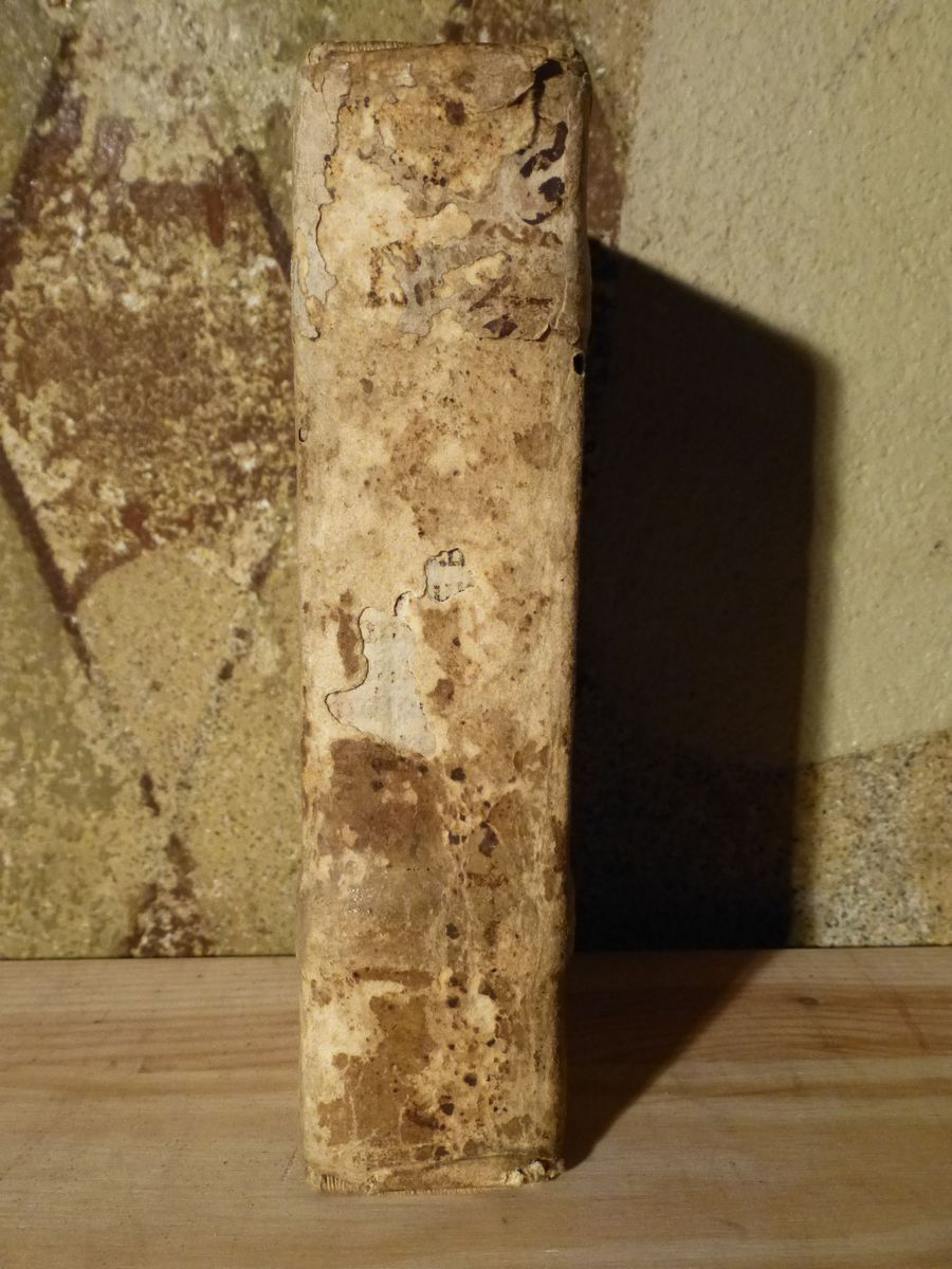 Johannes Marchesinusmamotrectus Super Bibliam
