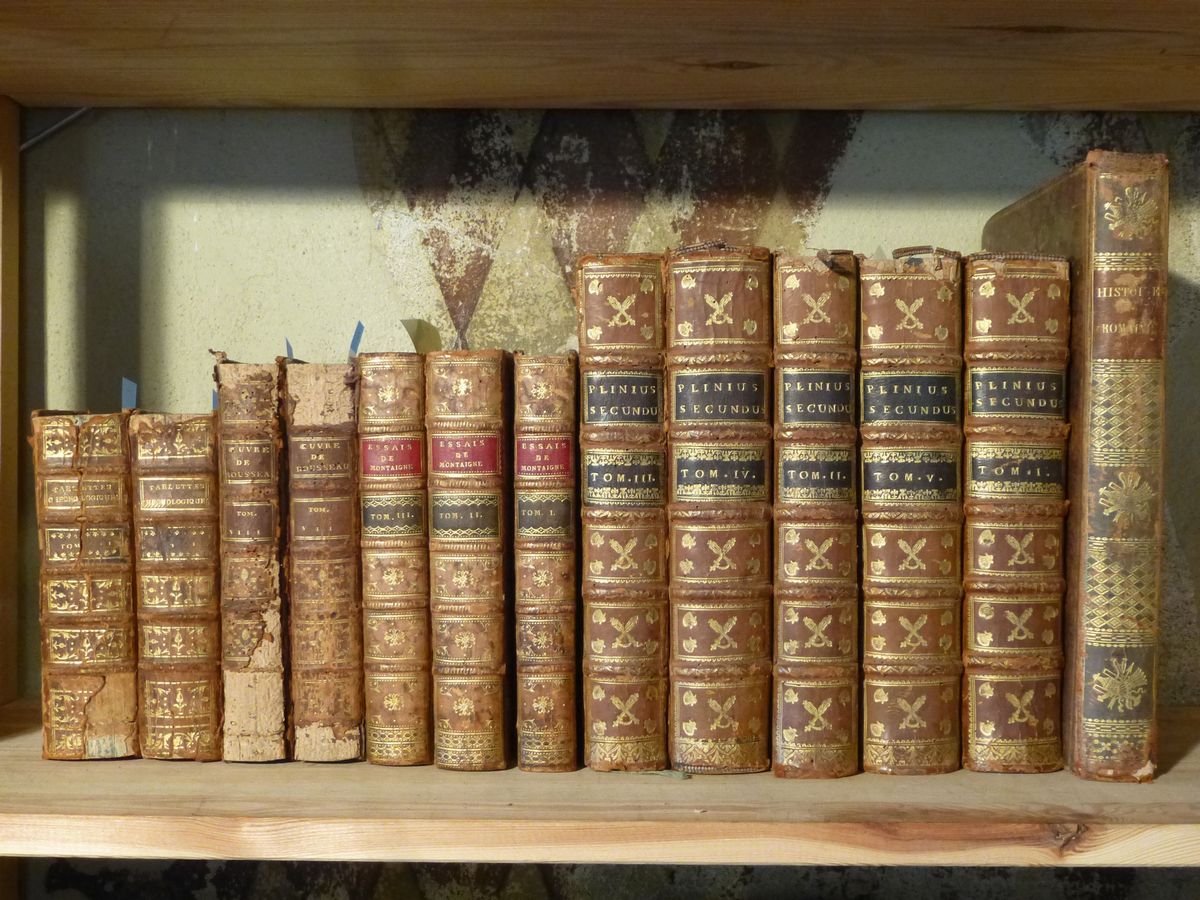 Plinio Caio Secondonaturalis Historiae Libri XXXVII. Interpretatione Et Notis Illustrativit Joann...