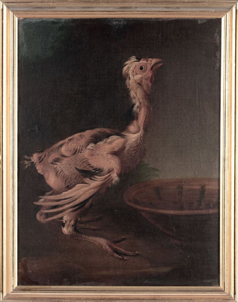 Scuola del XVIII secolo Volatile  - Asta Antiquariato e Dipinti Antichi - I - Cambi Casa d'Aste