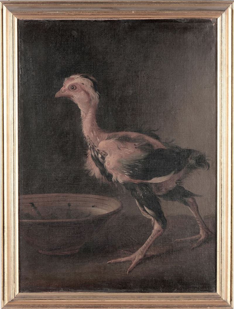 Scuola del XVIII secolo Volatile  - Asta Antiquariato e Dipinti Antichi - I - Cambi Casa d'Aste