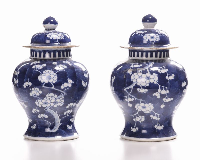 Coppia di vasi in porcellana cinese bianca e blu  - Asta Antiquariato e Dipinti Antichi - I - Cambi Casa d'Aste