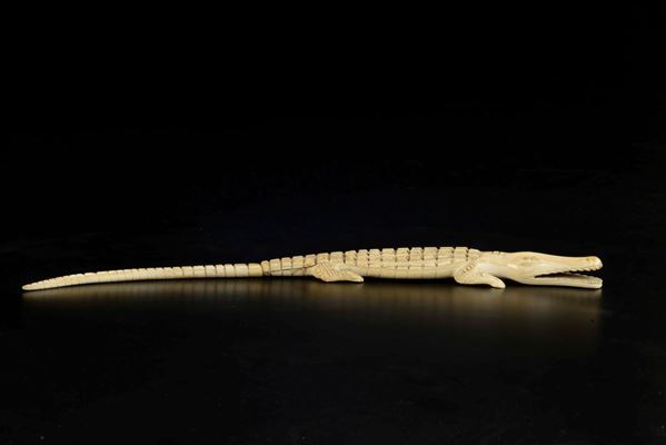 Coccodrillo in osso