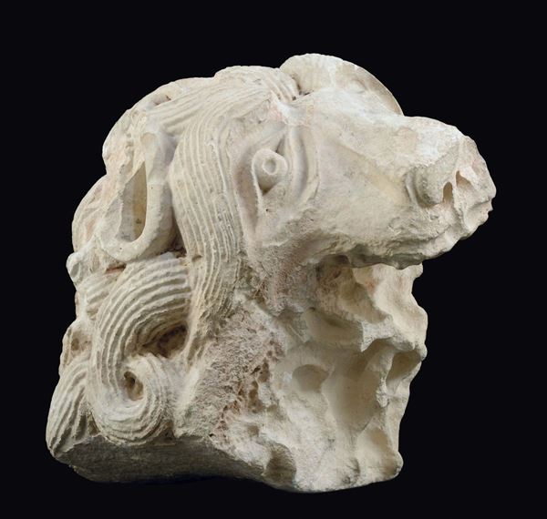 Testa di leone scolpita in pietra calcarea bianca, XIII-XIV secolo