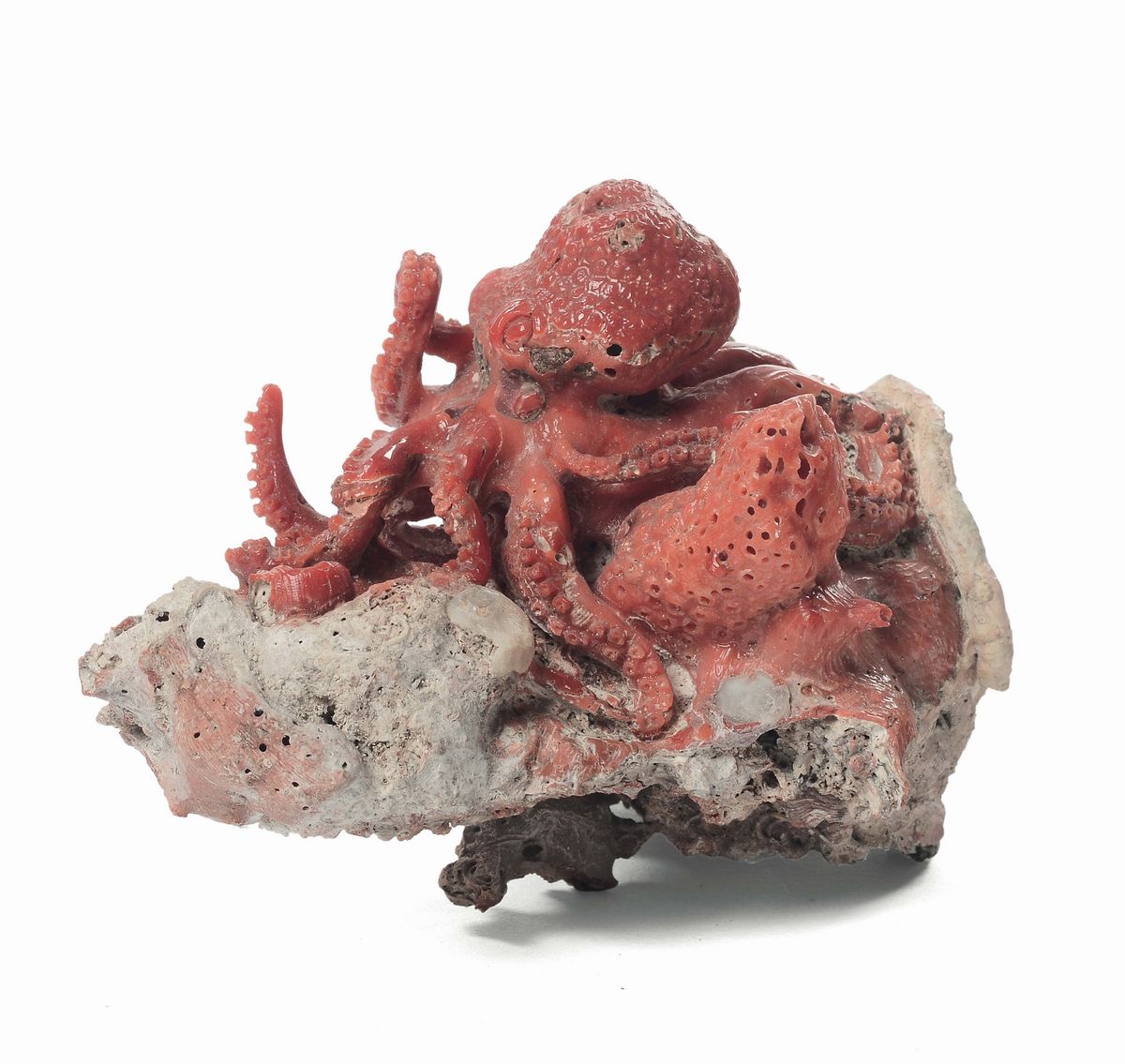 Scultura in Corallo Naturale Raffigurante Polpo, Arte Dell'italia Meridionale, Maestranze Sicilia...
