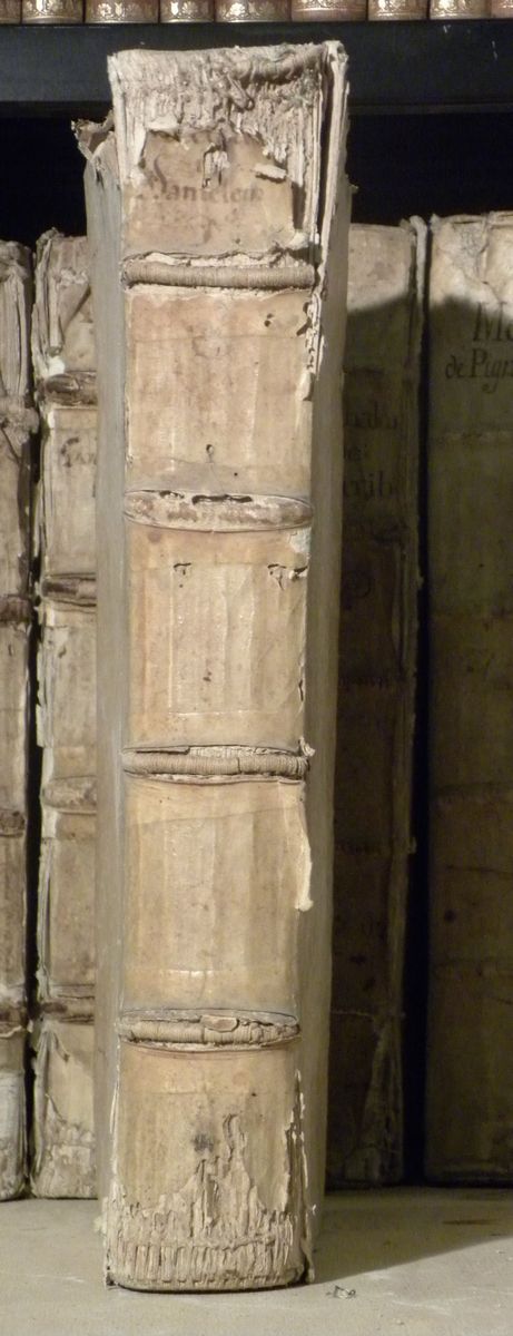 Luoghi di Stampa - Cinquecentinehectoris Pinti