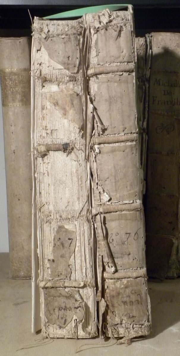 Giuridica - Cinquecentinecephali Ioannis