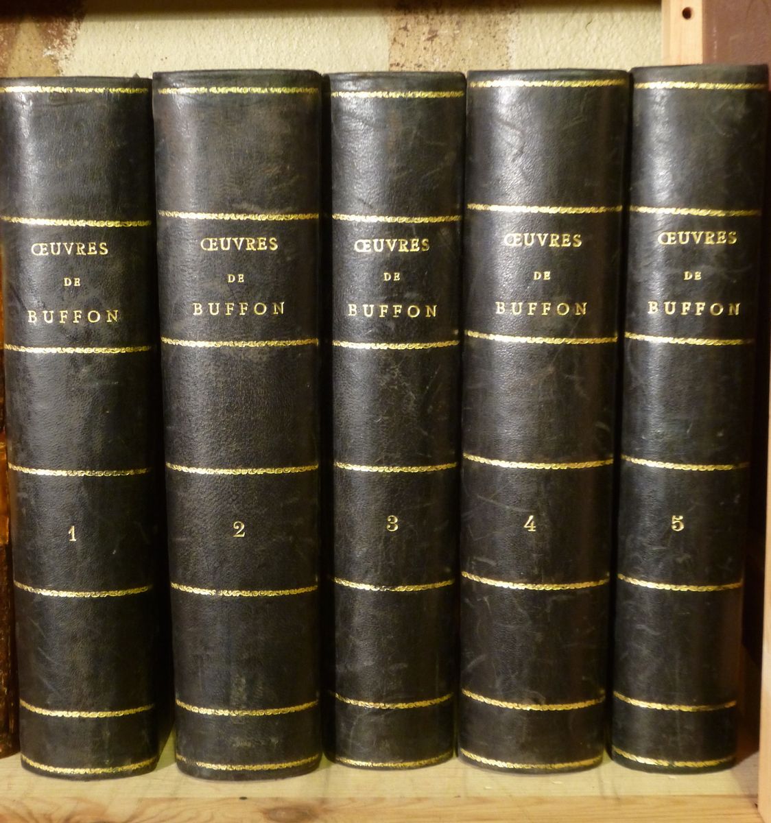 Scienze- Storia Naturalegeorges- Louis De Buffon