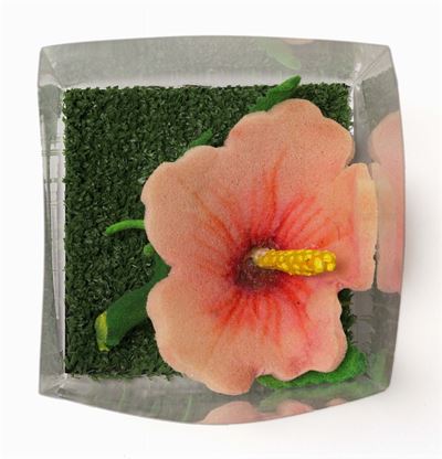 Piero Gilardi (1942)fiore del Pisello