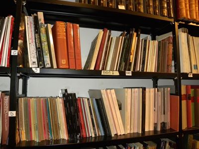 Grande Lotto di Cataloghi D'asta e Altri Volumi D'arte