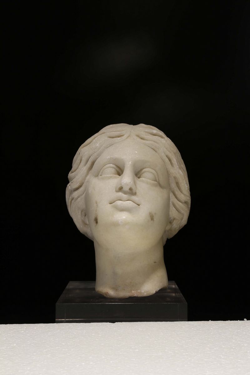 Testa di Niobe in Marmo, Scultore del XIX-XX Secolo
