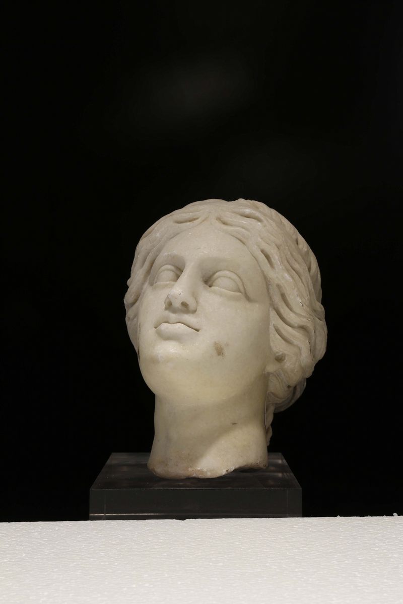 Testa di Niobe in Marmo, Scultore del XIX-XX Secolo