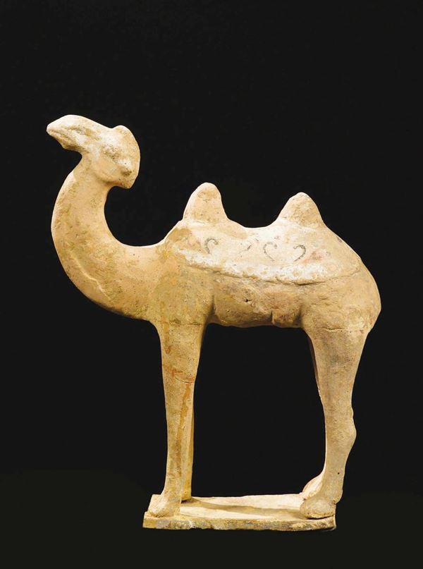 A semi-painted pottery camel, China, Tang Dynasty (618-906)