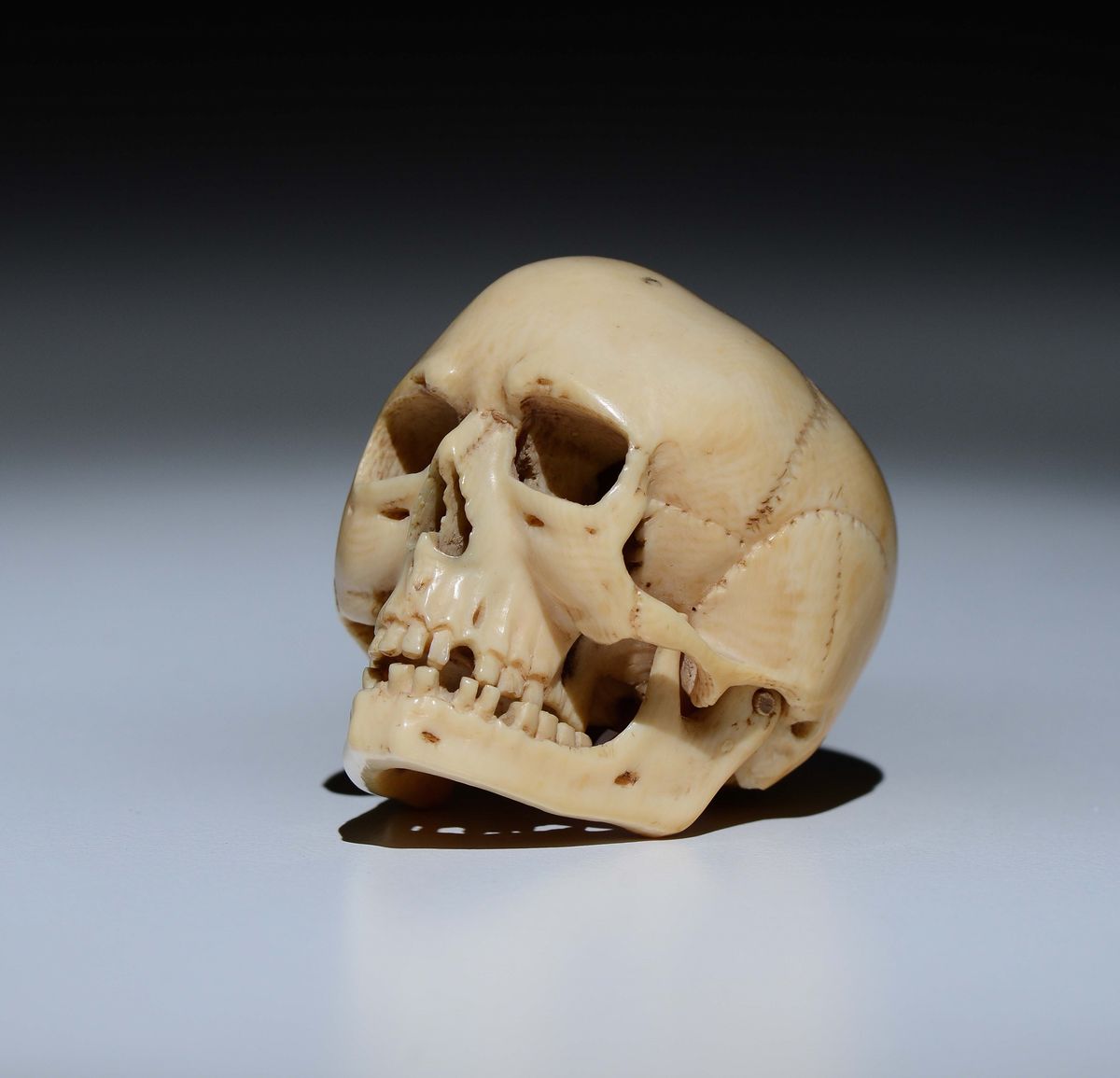 Memento Mori in Avorio a Foggia di Teschio Finemente Scolpito con Mandibola Mobile. Germania XVII...