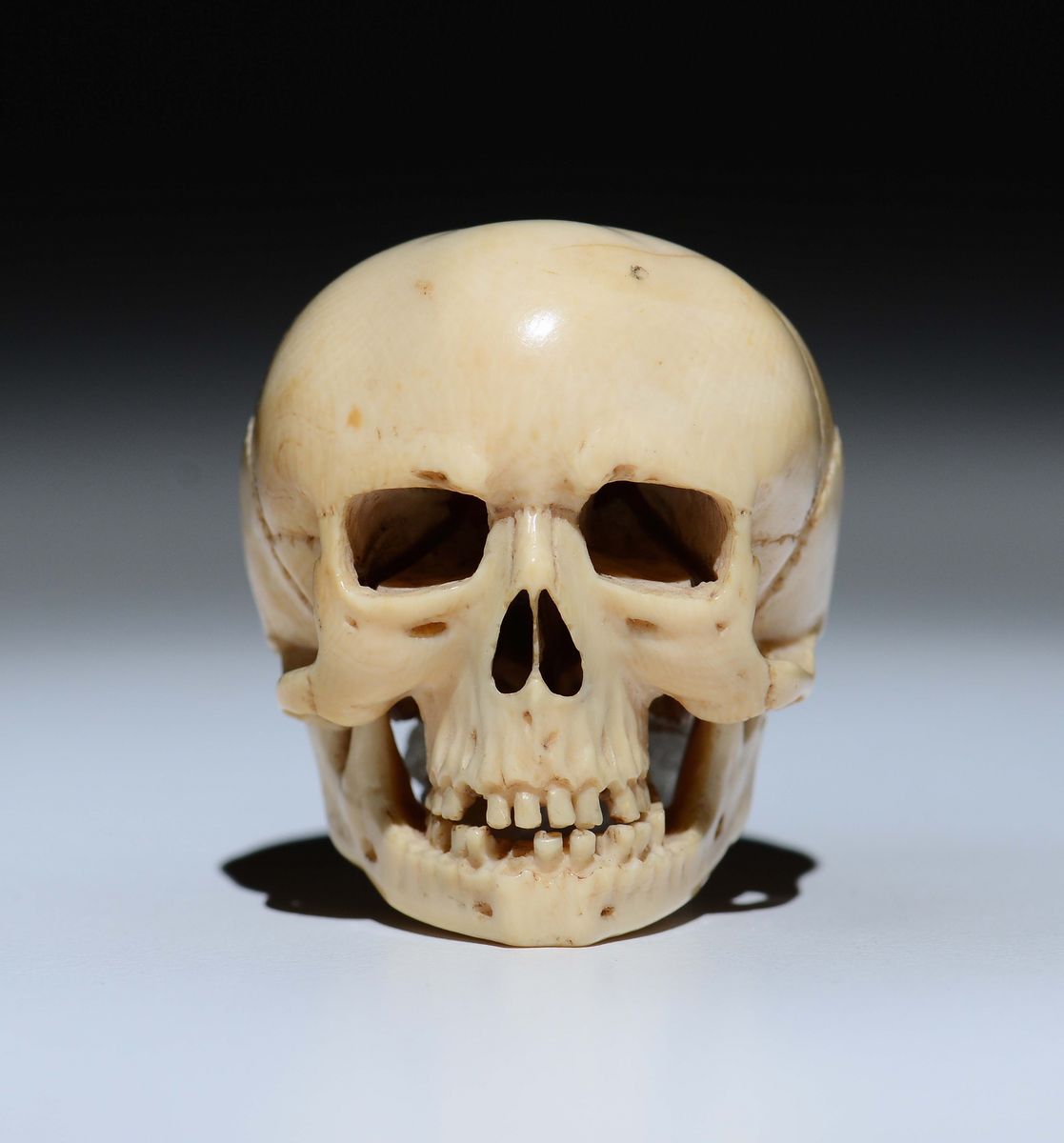 Memento Mori in Avorio a Foggia di Teschio Finemente Scolpito con Mandibola Mobile. Germania XVII...