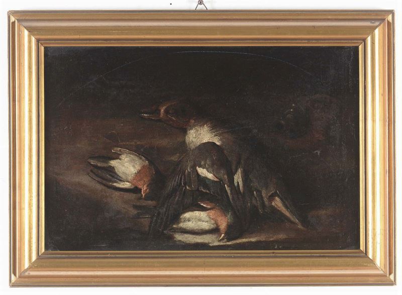 Scuola del XVIII secolo Natura morta con uccelli  - Asta Arredi dalle dimore degli eredi Ercole Marelli e altre provenienze - Cambi Casa d'Aste