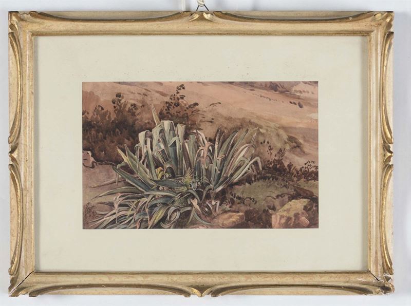 Anonimo del XIX secolo Paesaggio con agave  - Asta Asta a Tempo Antiquariato - Cambi Casa d'Aste