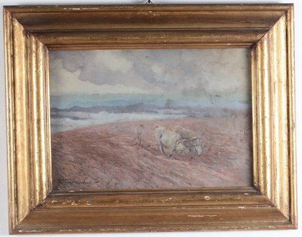 Piero Todeschini Buoni nei campi