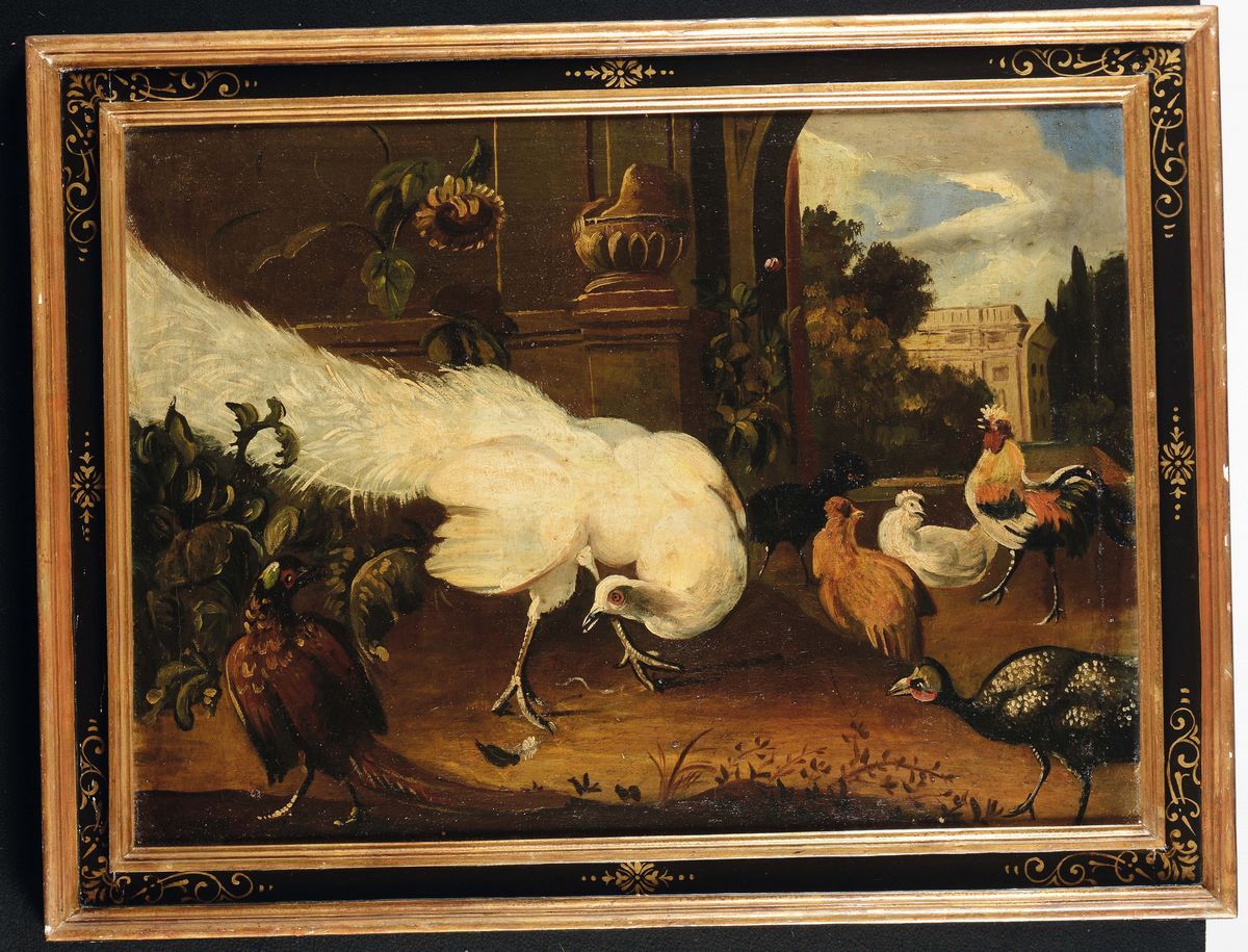 Scuola del XVIII Secoloanimali da Cortile