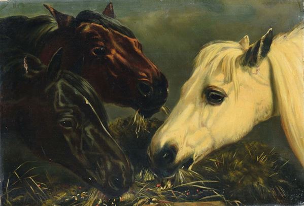 Anonimo del XIX-XX secolo Teste di cavallo