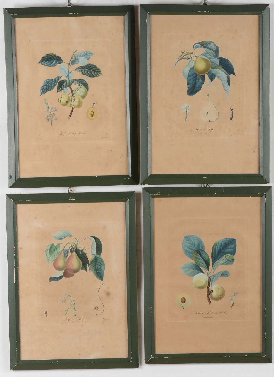 Sei Stampe Diverse Raffiguranti Fiori e Frutta, XIX-XX Secolo