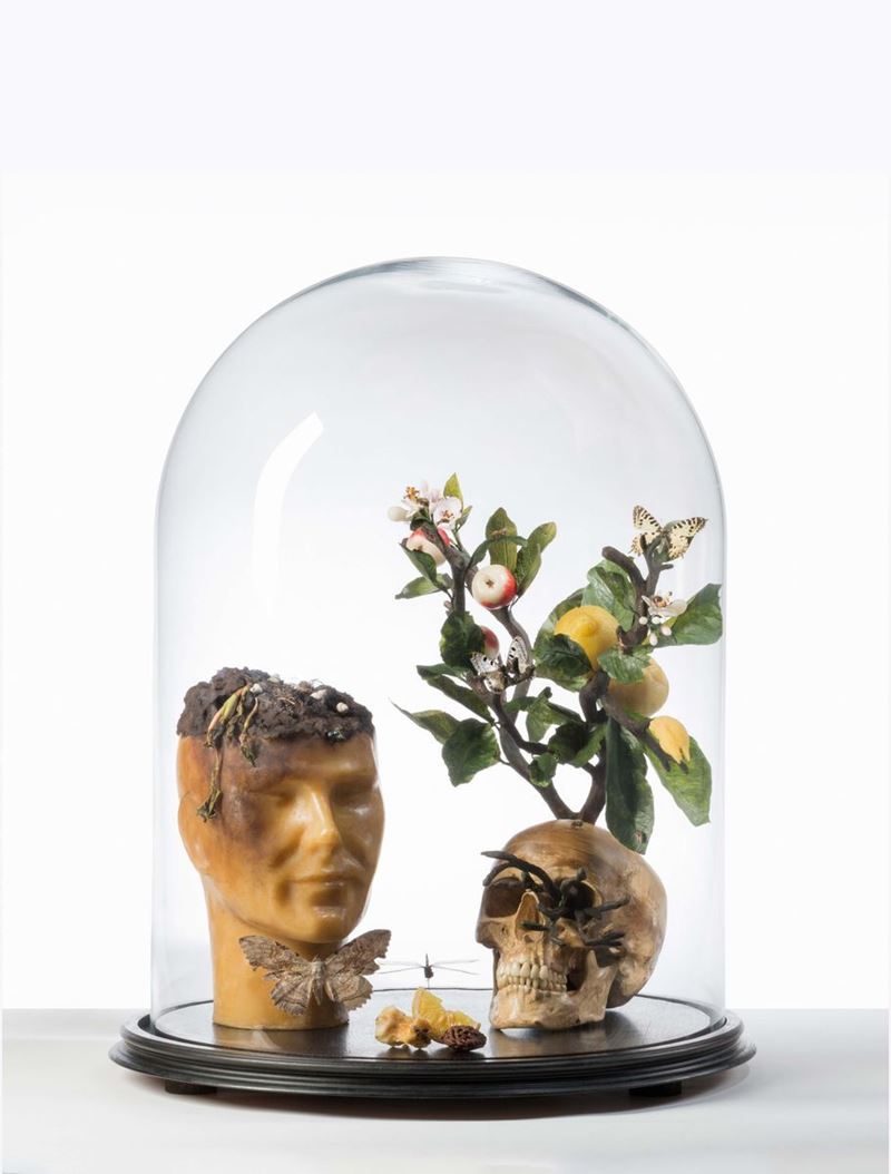 Paola Nizzoli Desiderato Vanitas  - Auction A Selection of Important Works in Wax - Cambi Casa d'Aste