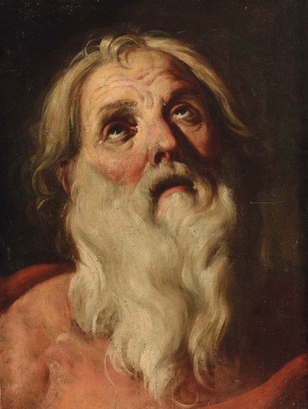 Scuola del XVII secolo Testa di vecchio