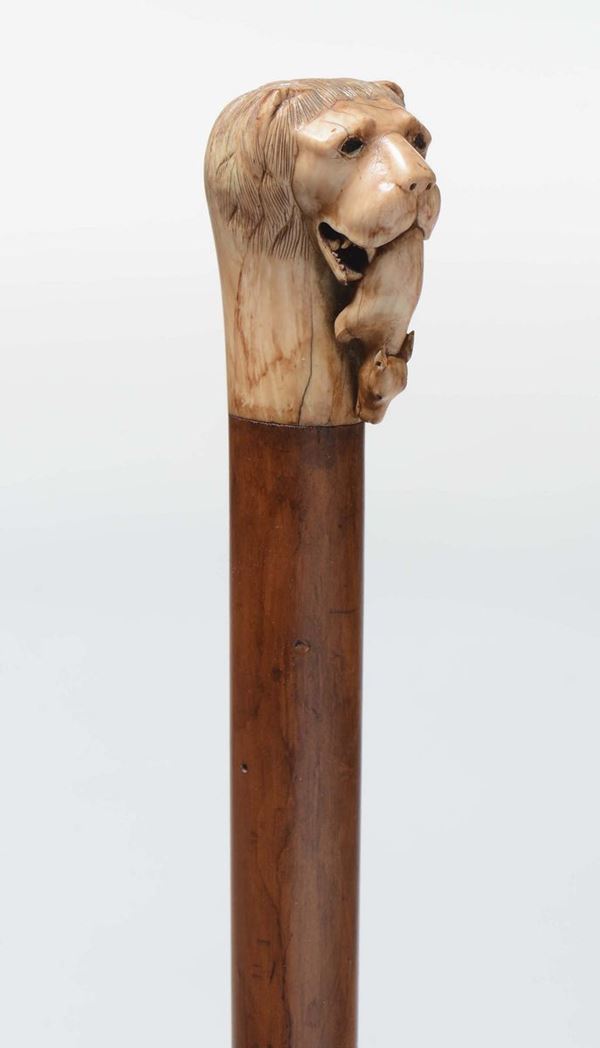 Bastone con manico in avorio scolpito a guisa di leone, XIX secolo