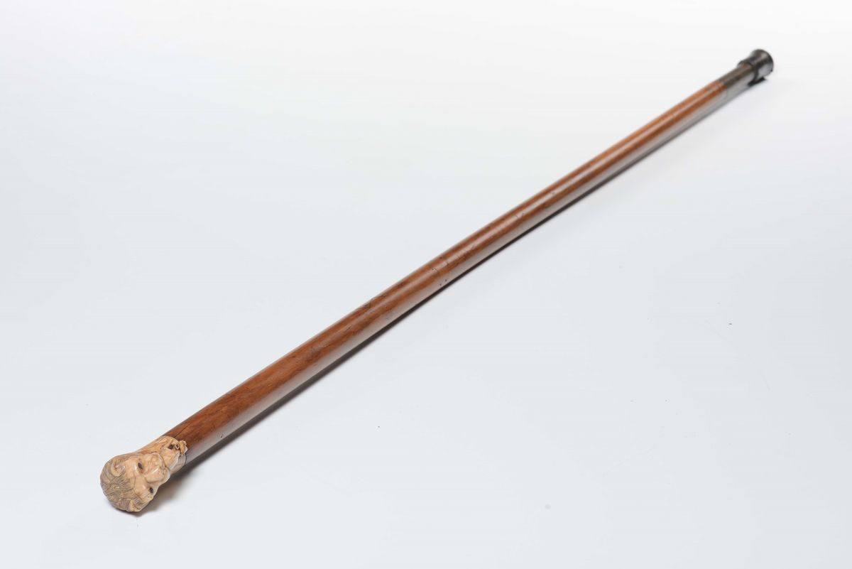 Bastone con Manico in Avorio Scolpito a Guisa di Leone, XIX Secolo