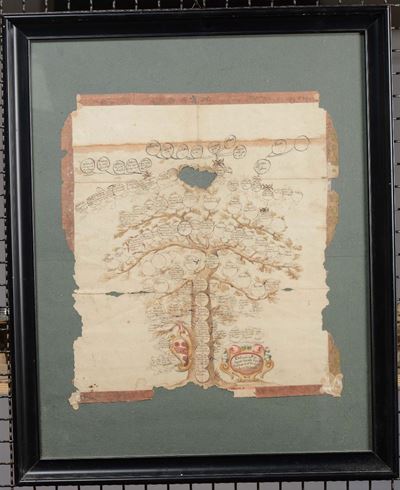 Albero Genealogico su Carta, XVIII Secolo