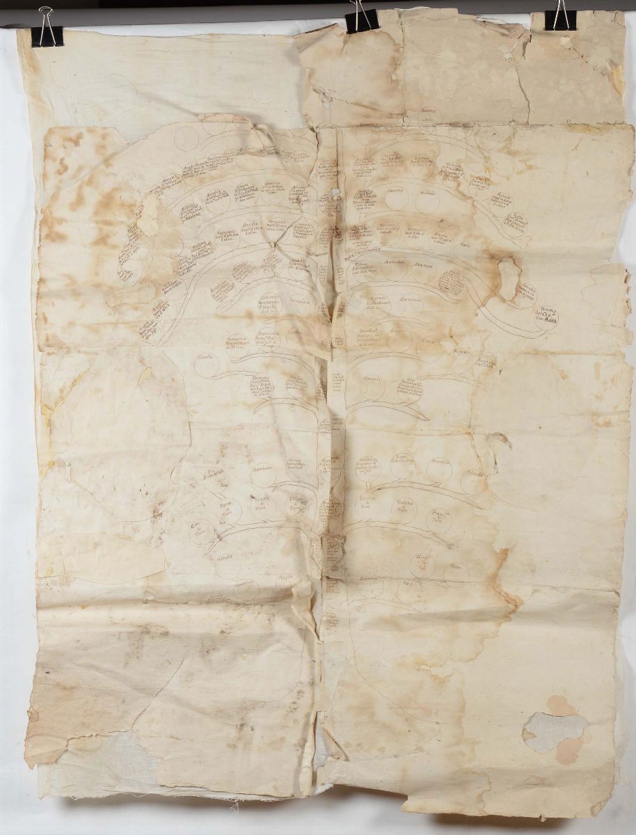 Albero Genealogico su Carta, XVIII Secolo