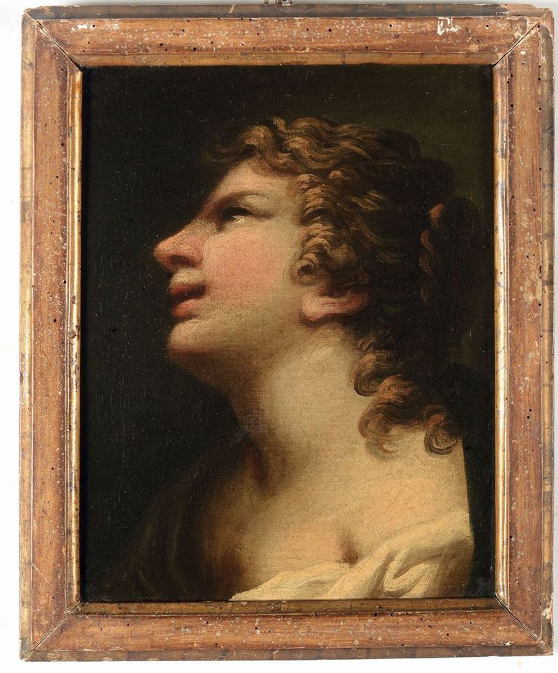 Scuola Italiana del XVII secolo Ritratto di Santo in estasi  - Auction Old Masters Paintings - Cambi Casa d'Aste